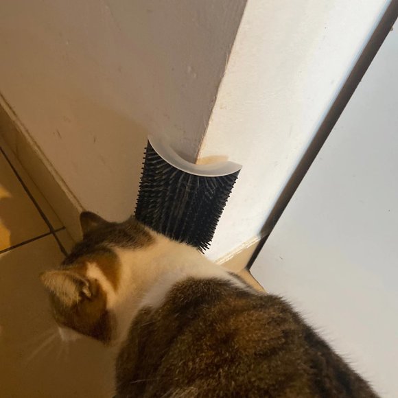 Longer Style Cat Self Groomer Full Body Brush Corner Mount Grooming Comb… - Picture 9 of 15